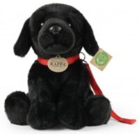Labrador