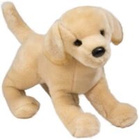 Labrador